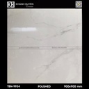 Gạch ốp lát 900×900 TBN-9934