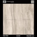 Gạch ốp lát 900×900 TBN-9909