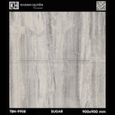 Gạch ốp lát 900×900 TBN-9908