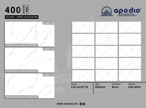 [A48CG1061] GẠCH ỐP LÁT APODIO A48CG1061