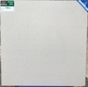 ECO M6901 (Mờ)