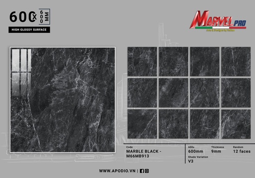 [M66MB913] Gạch ốp lát Apodio M66MB913 (Bóng)