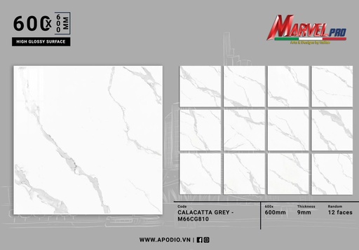 [M66CG810] Gạch ốp lát Apodio M66CG810 (Bóng)