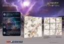 Gạch Apodio 80x80 AF.10.88.8029 - Bóng