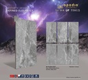 Gạch ốp lát Apodio 80x160 AF.10.86.1037 (French Imperiale)