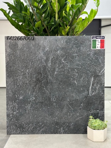 [APODIOFA12667003] Gạch ốp lát Apodio FA12667003 (dày 12mm)