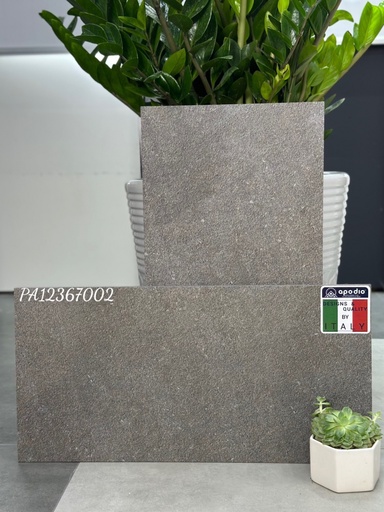 [APODIOPA12367002] Gạch ốp lát Apodio PA12367002 (dày 12mm)