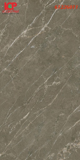 [26011] Gạch ốp lát Apodio  61226011