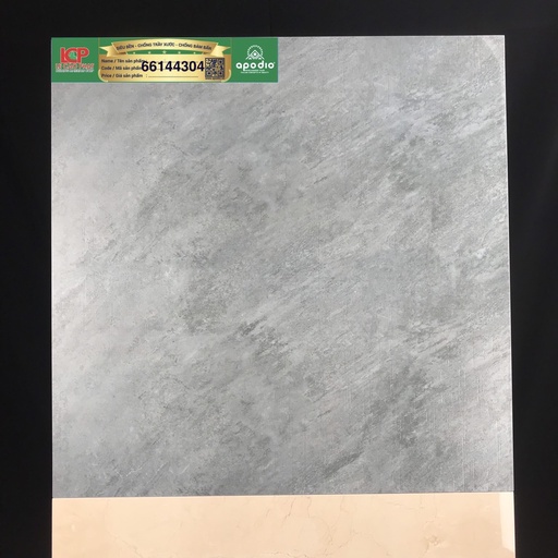 [66144304] Gạch ốp lát Apodio 66144304