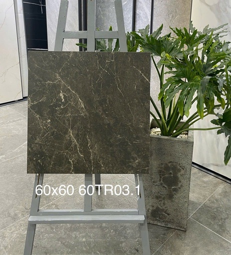 [60TR03] Gạch ốp lát 600x600 mã 60TR03
