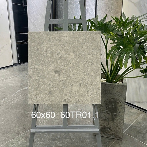 [60TR01] Gạch ốp lát 600x600 mã 60TR01