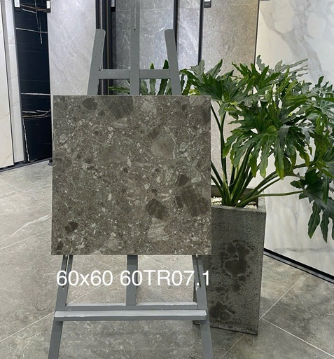 [60TR07] Gạch ốp lát 600x600 mã 60TR07