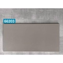Gạch ốp tường 300x600mm 66203