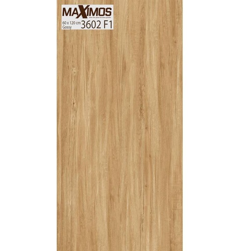 [DAISANB2B_G_12446611] Gạch ốp tường Vitto men Gossy chống trơn xước 60x120cm 3602F2