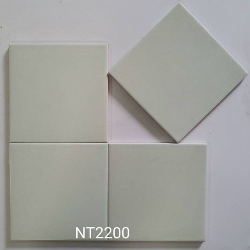 [DAISANB2B_G_13256223] Gạch bông men ốp lát 20x20cm NT2200