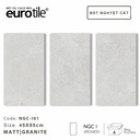 Gạch ốp lát Eurotile BST Nguyệt Cát 450*900mm NGC-I01