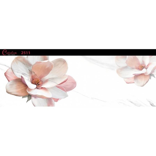 [DAISANB2B_G_62003294] Gạch ốp tường 255x780 Catalan 2511