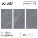 Gạch ốp lát Eurotile BST Nguyệt Cát 450*900mm NGC-I03