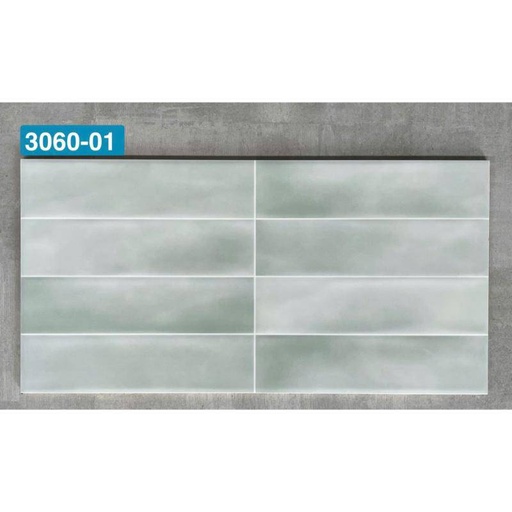 [DAISANB2B_G_17501633] Gạch ốp tường KT 300x600mm DS3060-01