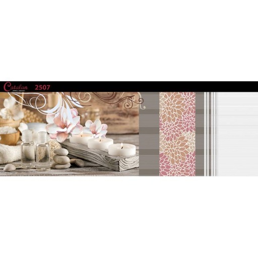 [DAISANB2B_G_55772131] Gạch ốp tường 255x780 Catalan 2507