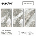 Gạch ốp lát Eurotile BST Hoa Đá 300*600mm HOD-G02