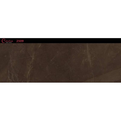 [DAISANB2B_G_18568527] Gạch ốp tường 255x780 Catalan 2509