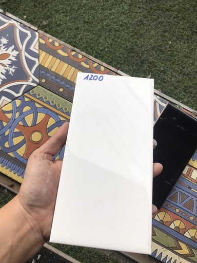 [M1200_S (STA1200_S)] Gạch thẻ cao cấp trắng bóng phẳng 100x200mm M1200_S (STA1200_S)