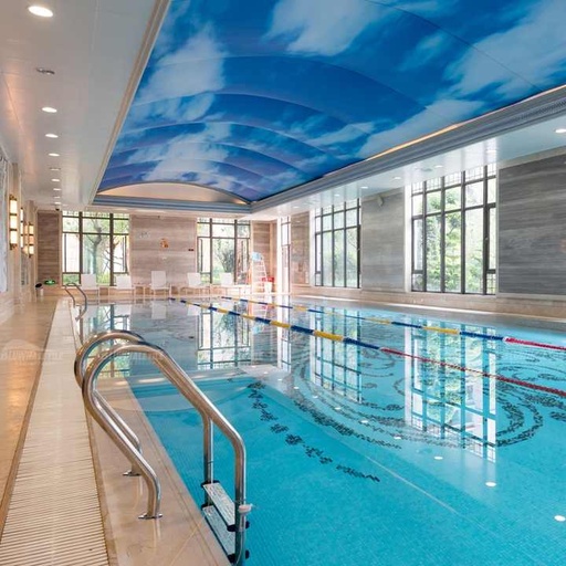 [30208418520] Thang Bể Bơi Inox 304 Chống Trơn 3 Bậc Có Tay Vịn Bluwhale Giá Sỉ